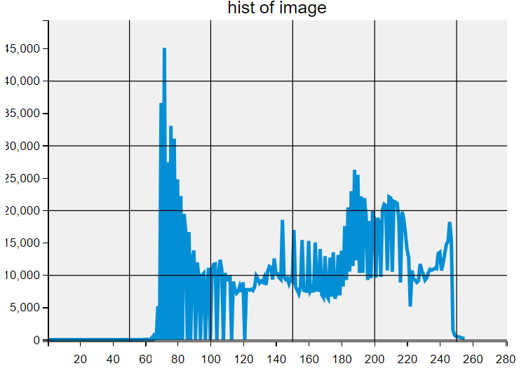 image-20240506131919983